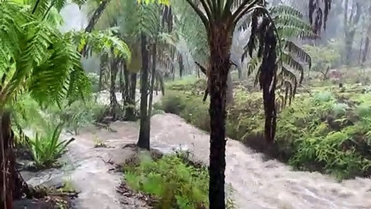 Australien: Erst Dürre und Brände, jetzt Überschwemmungen