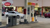 Pig Casually Wanders through Gas Station