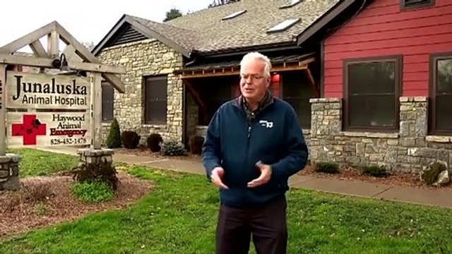 En Caroline du Nord, un berger allemand donne naissance à un chiot vert citron.