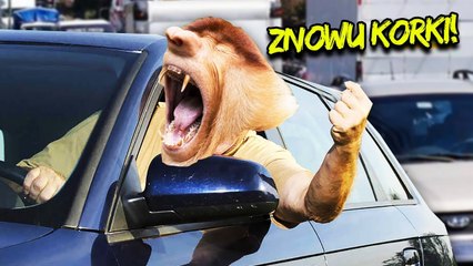 Skąd biorą się KORKI i jak ich uniknąć