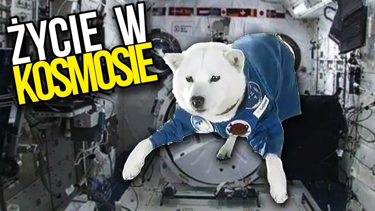 Jak wygląda życie na MIĘDZYNARODOWEJ STACJI KOSMICZNEJ