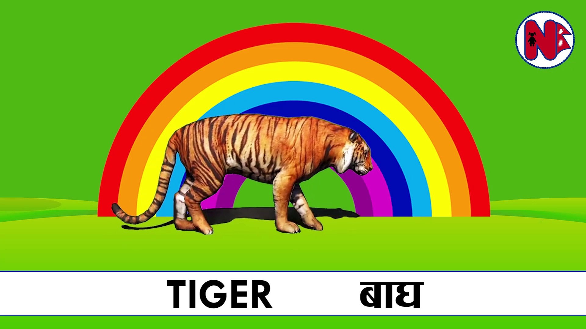 Animals Name in English and Nepali for Kids जनावरहरुको नाम । - video  Dailymotion