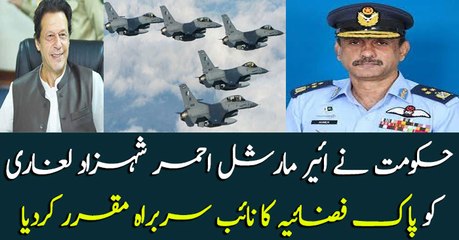 Ahmer Shahzad Laghari appointed as vice chief PAF