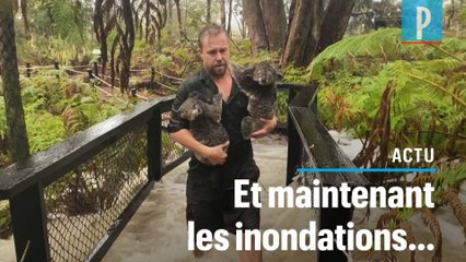 Un zoo australien menacé d’inondation après des fortes pluies