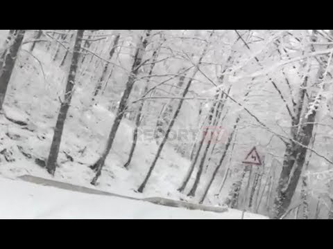 Report TV - Një bukuri nën dëborë! Qafë Shtama destinacioni turistik i fundjavës