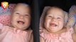 Twin Babies Laughing Hysterically - Funny Baby Videos