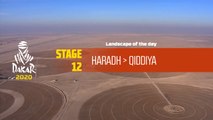 Dakar 2020 - Étape 12 / Stage 12 - Landscape of the day