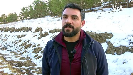 Know How Locals Help Stray Animals Survive the Cold Winter Season in Van, Turkey