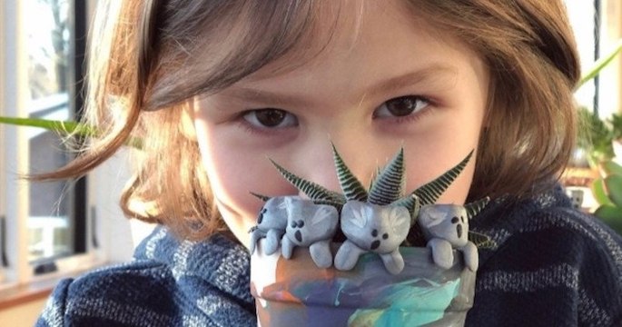 Âgé de 6 ans, il fabrique des figurines de koalas en argile pour récolter des fonds pour les animaux en Australie