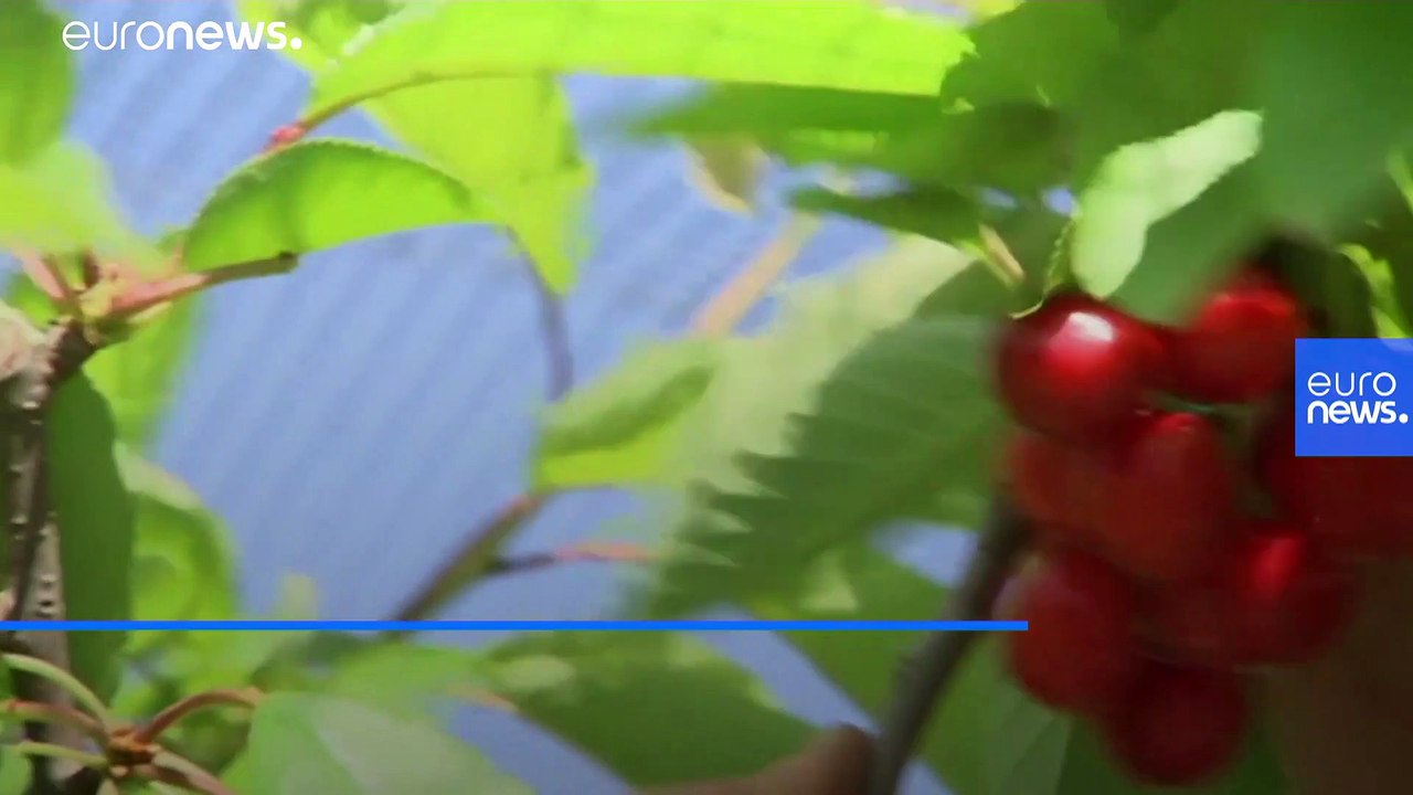 9 Vorsätze für die CO2-Neutralität beim WEF in Davos