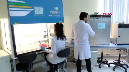 Veteriner hekimler odası uyardı: ölü kuşlara sakın dokunmayın