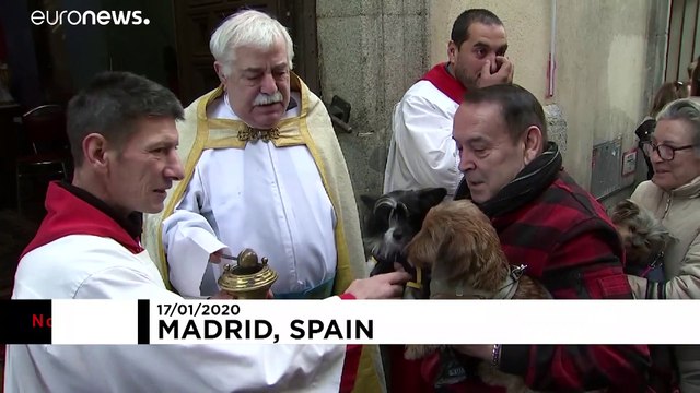 Πήγαν τα ζώα τους για ευλογία στην εκκλησία