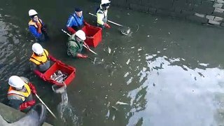 Pêche électrique dans le canal du Centre à Palinges