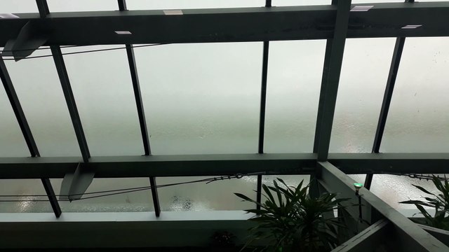 O pior cenário para um plane spotter