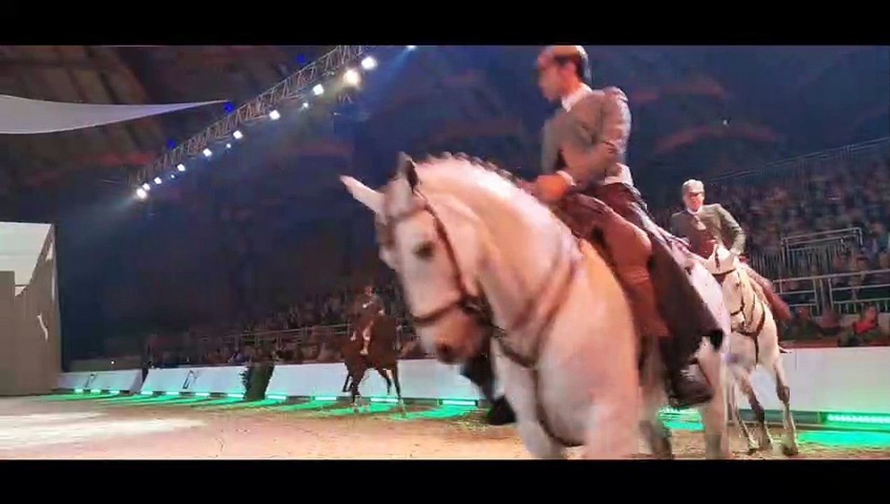 IDEE SORTIE DU WEEK END - Cheval Passion 2020 : le festival équestre d’Avignon