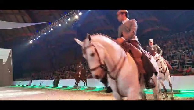 IDEE SORTIE DU WEEK END - Cheval Passion 2020 : le festival équestre d’Avignon