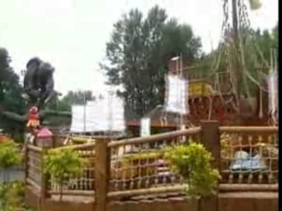 Walygator
