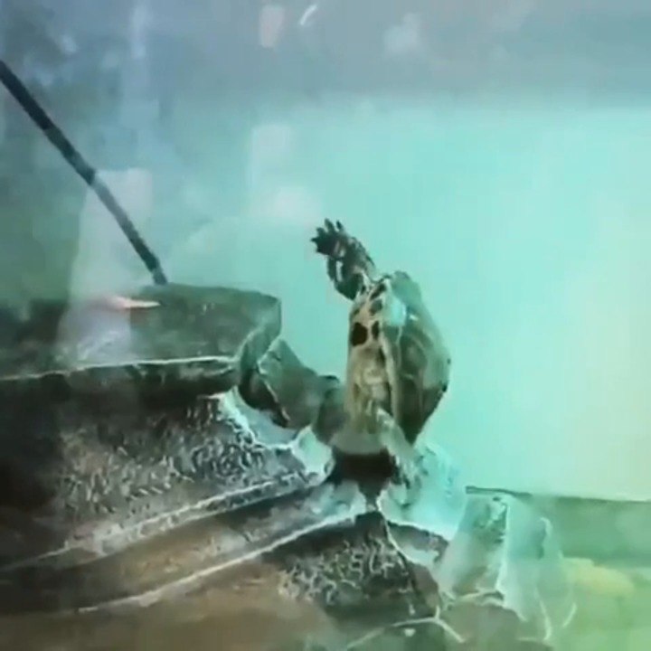 Trying To Get Up The Stairs To Your Room Blacked Out At 3am