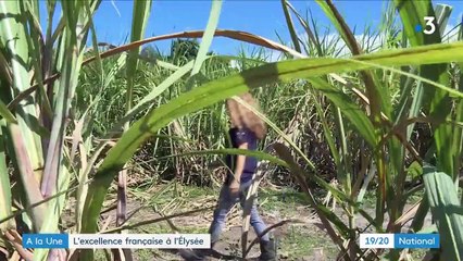 Made in France : l'Élysée ouvre ses portes aux artisans locaux
