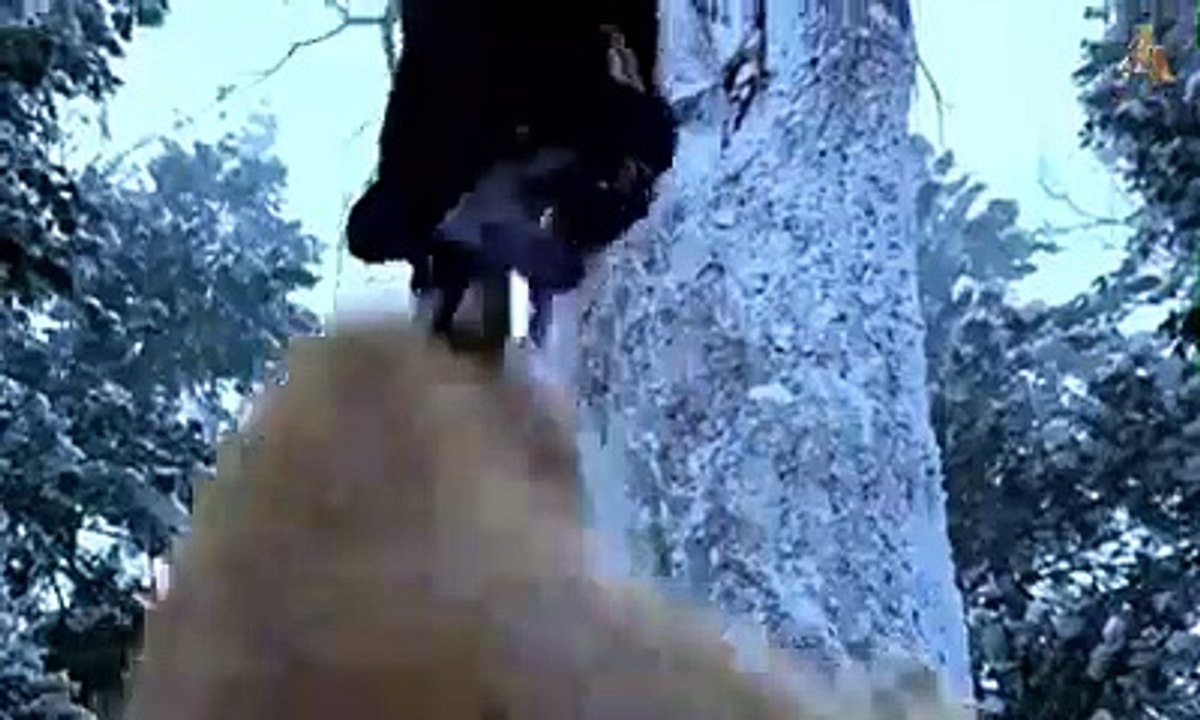 Tiger attack