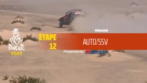 Dakar 2020 - Étape 12 (Haradh / Qiddiya) - Résumé Auto/SSV