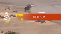 Dakar 2020 - Etapa 12 (Haradh / Qiddiya) - Resumen Coche/SSV