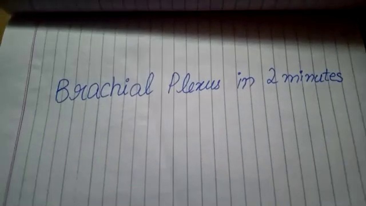 How to draw brachial plexus in 2 minutes