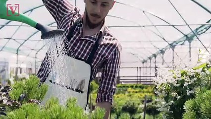 It's a New Decade for Homeware Trends