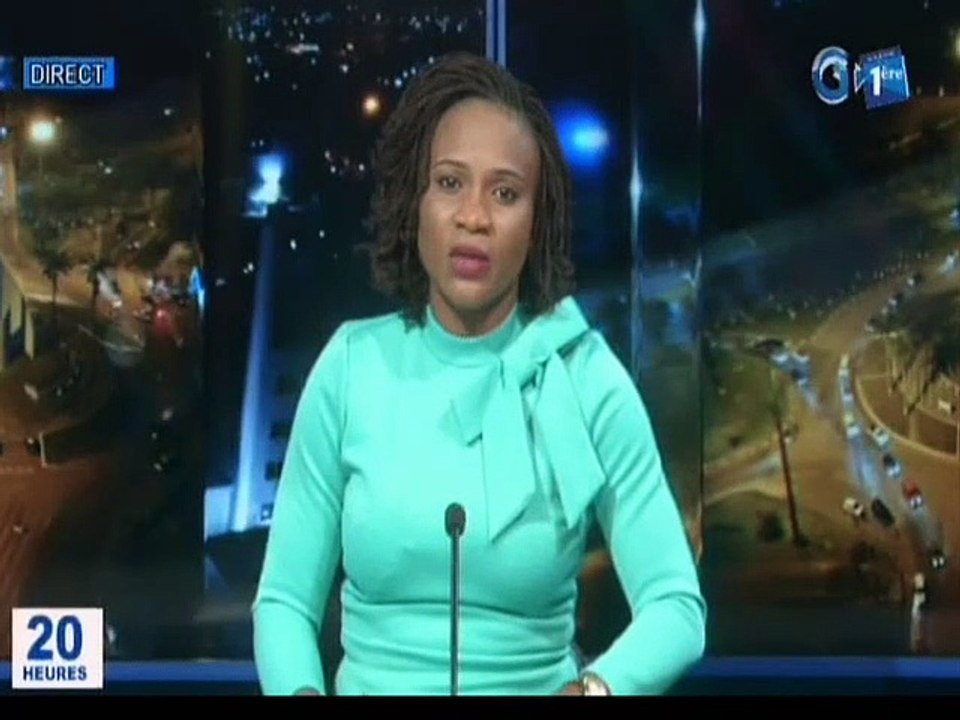 RTG - Séance de travail entre une délégation parlementaire Japonaise et le Ministre des affaires étrangères, Alain Claude BILIE BY NZE