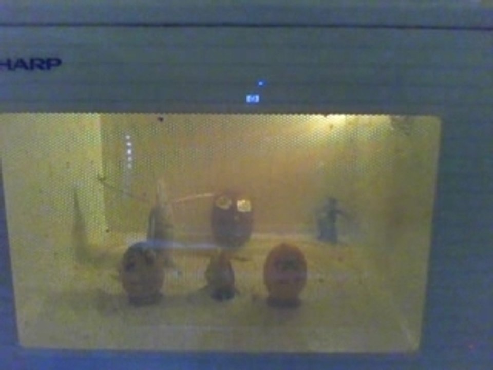 l'oeuf