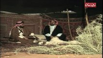 المسلسل البدوي الدخيلة الحلقة 13 والاخيرة