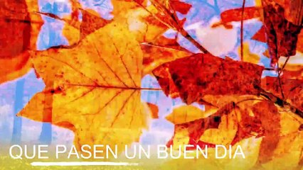 Conoce El Tiempo de Hoy Sábado 18 de Enero de 2020