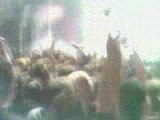 Marilyn Manson- Mobscene live 02-11-08