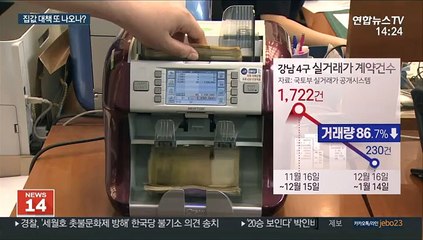 수위 높이는 집값 대책…"사지도 팔지도 못해"