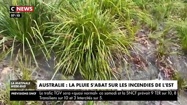 De fortes précipitations sont tombées vendredi sur les incendies qui ravagent l'est de l'Australie, au grand soulagement de certains fermiers -
