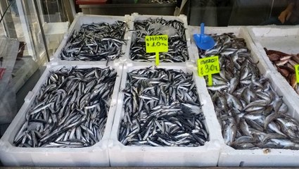 Hamsi bereketi vatandaşın cebine yaradı