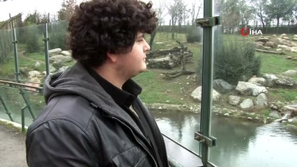 Ayıları kış uykusu tutmadı