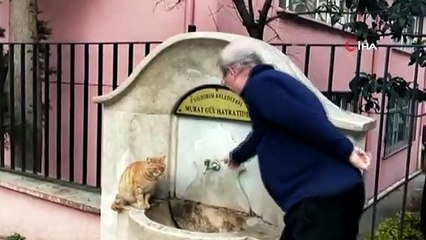 Çeşmeden Su İçen Kedi İlgi Odağı Oldu