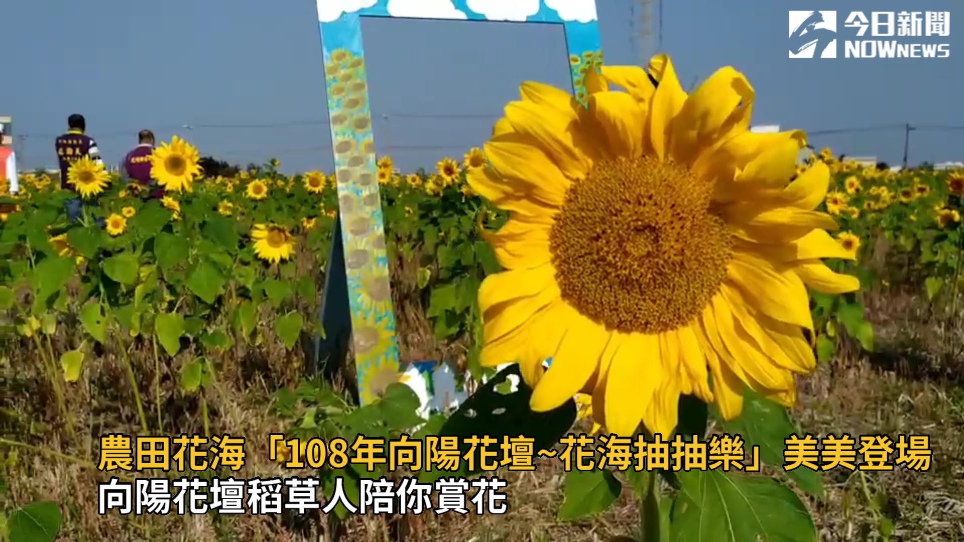 向陽花壇稻草人陪你賞花 影片dailymotion