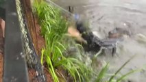 Cierran un parque zoológico en Australia por las fuertes inundaciones