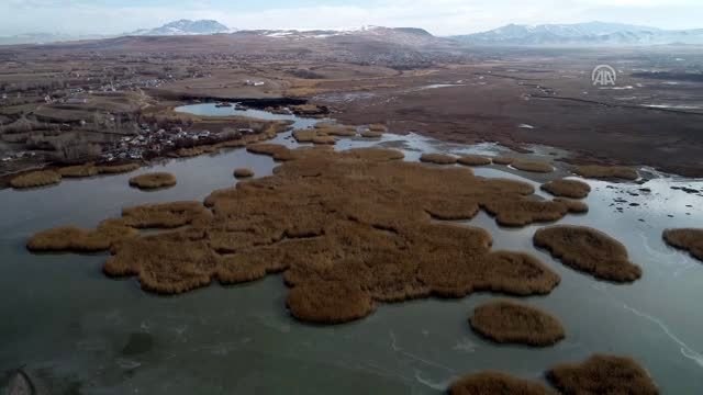 Van Gölü Havzası göçmen kuşlara ev sahipliği yapıyor - VAN