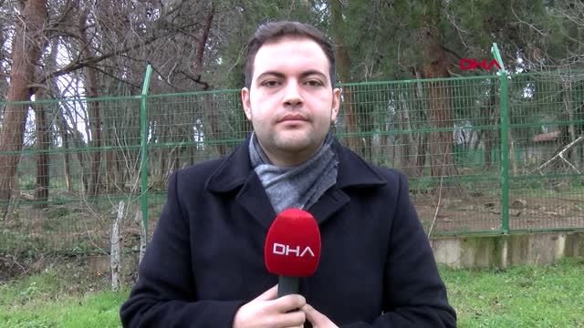 Bursa kış uykusuna yatmayan ayılar için özel beslenme programı-ek