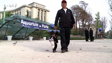 وفاة أقصر رجل في العالم في نيبال عن 27 عاما