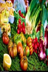 What foods can I eat while trying to lose weight?