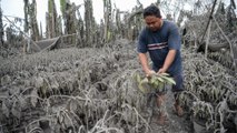 Philippines volcano: Evacuees return to collect belongings