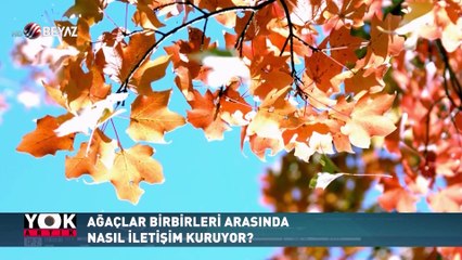 Yok Artık 18 Ocak 2020