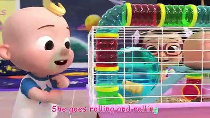 Class Pet Song - CoCoMelon Nursery Rhymes & Kids Songs