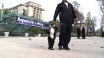 بالفيديو: وفاة أقصر رجل في العالم