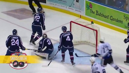 Vaughn Saves of the Week: January 21, 2020