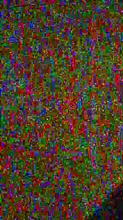 IMG_1787